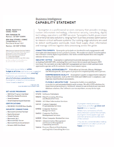 business intelligence capability statement