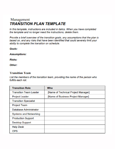 business project management transition plan