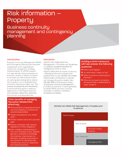 business risk continuity and contingency plan