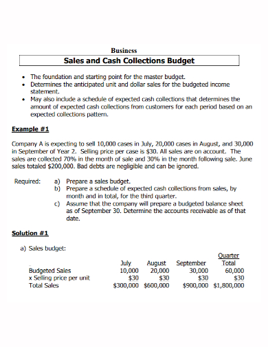 business sales cash budget