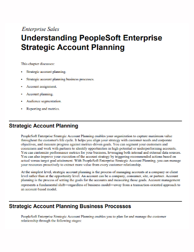 business sales strategic account plan
