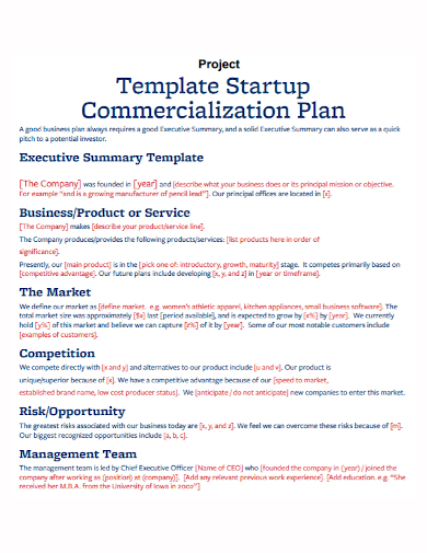 business start up commercialization project plan