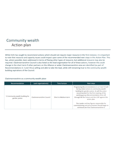 community wealth action plan