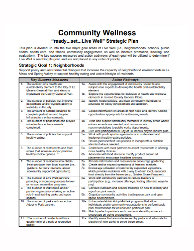 community wellness strategic plan