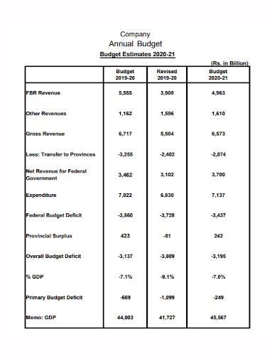 company annual budget estimate