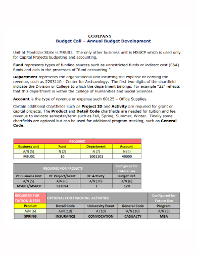 company development annual budget