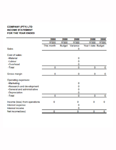company monthly income statement