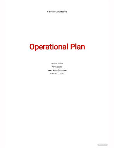 company operational plan