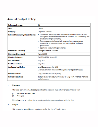 corporate annual budget policy