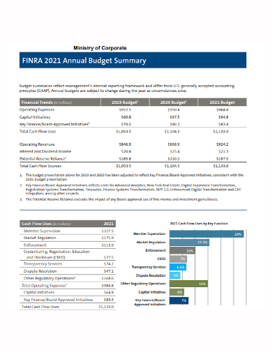 corporate annual budget summary