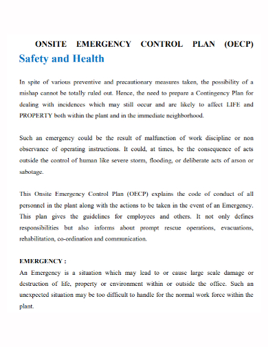 emergency safety control plan