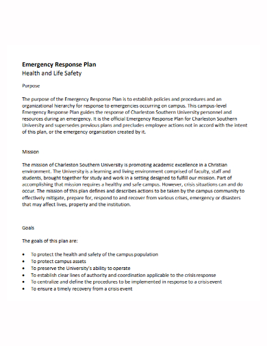emergency safety response plan