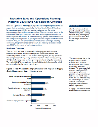 executive operational sales plan