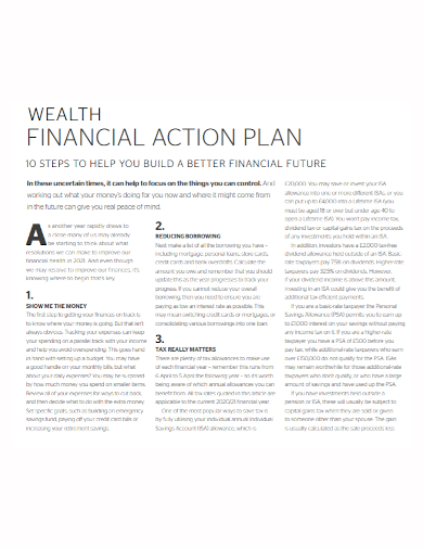 financial wealth action plan