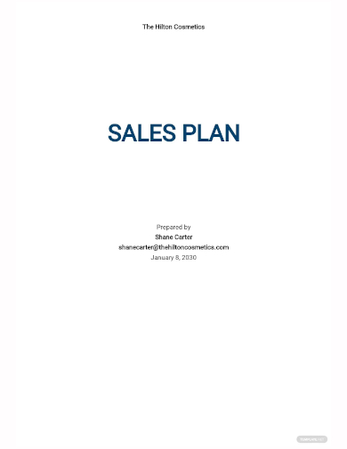 generic sales plan template