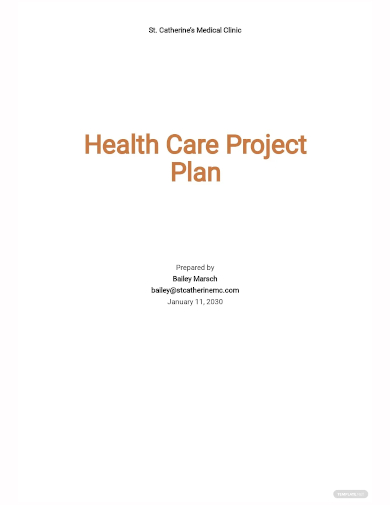 health care project plan template