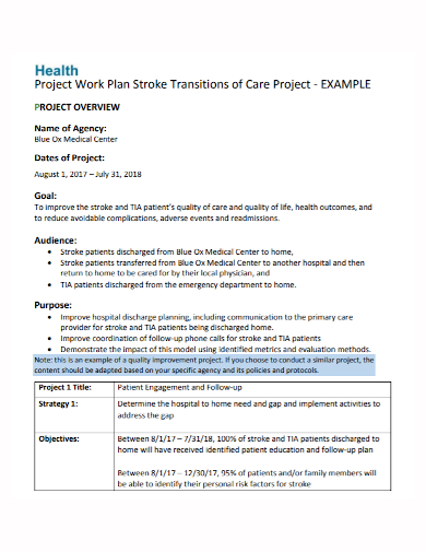 health care project work plan