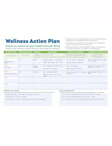 health wellness action plan