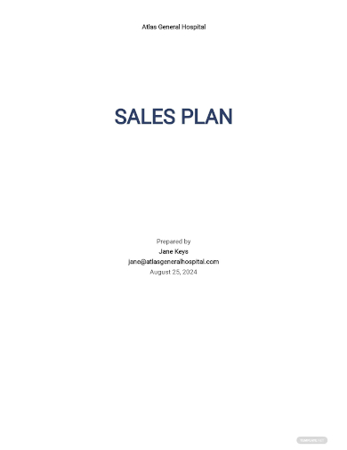 hospital sales plan template