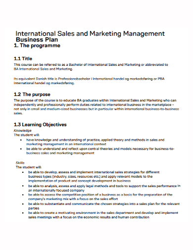 international sales management plan