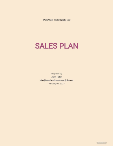 international sales plan template