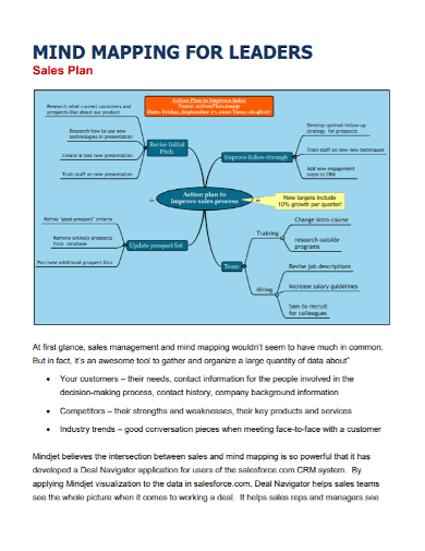 leaders sales plan mind map