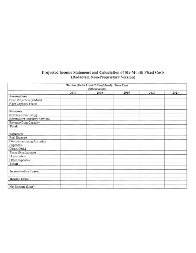 monthly project income statement
