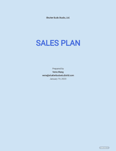 network sales plan template