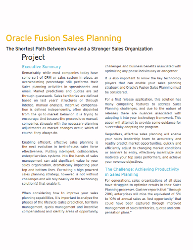 organization project sales plan