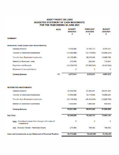 profit and loss assest budget statement