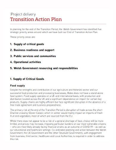 project delivery transition action plan