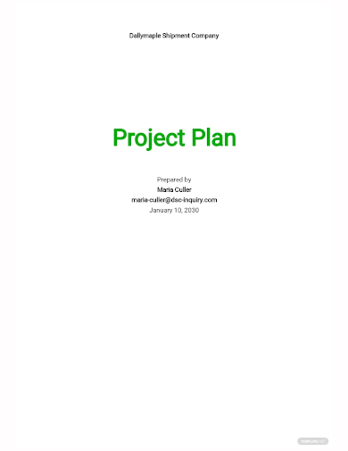 project plan roadmap template