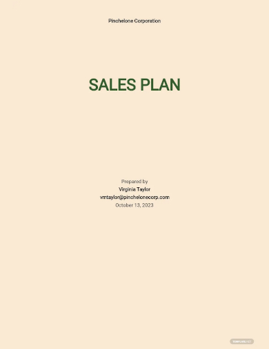 project sales plan template