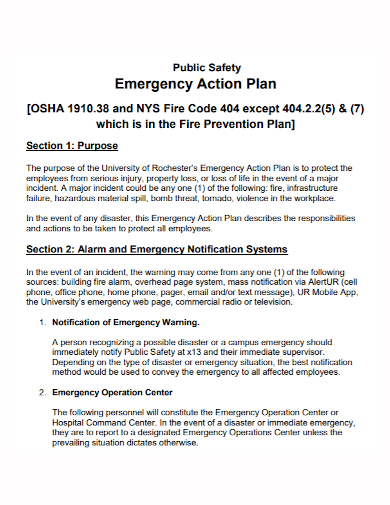 public safety emergency action plan