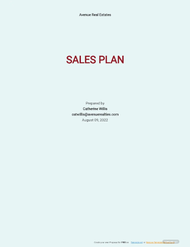 real estate sales plan template