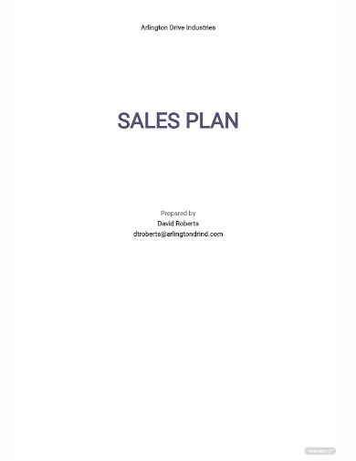 retail sales plan template