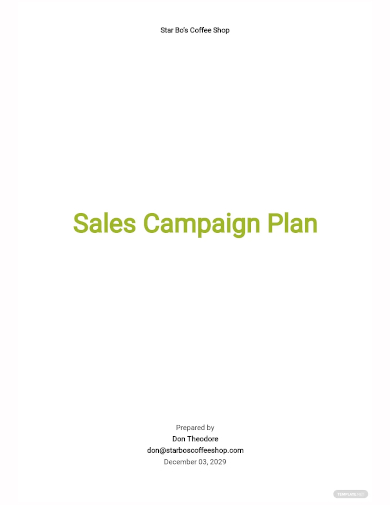 sales campaign plan template