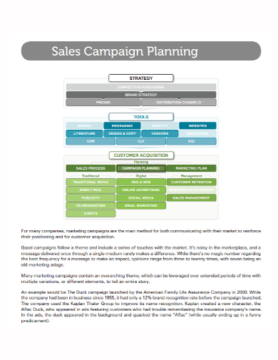 sales campaign strategy plan