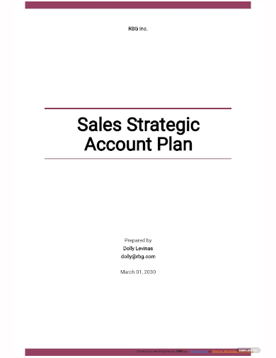 sales strategic account plan template