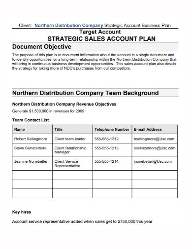 sales strategic target account plan