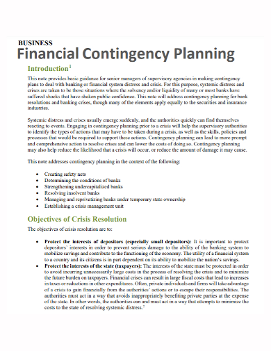 sample business financial contingency plan