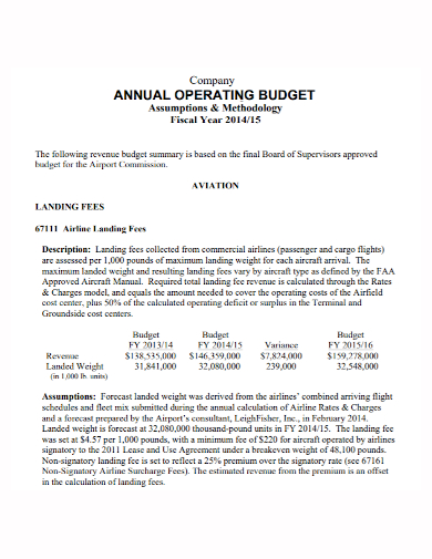 sample company annual budget