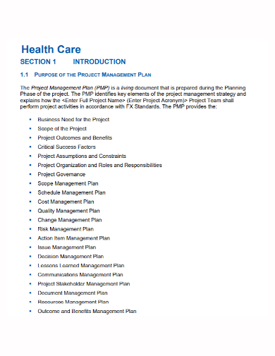 sample health care project plan