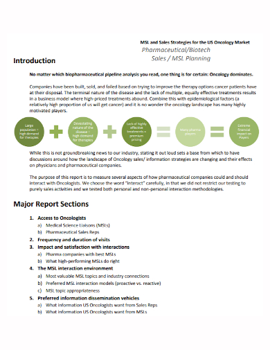 sample pharmaceutical sales plan