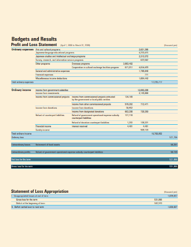 sample profit and loss statement budget
