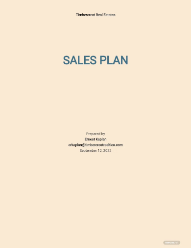 sample real estate sales plan template