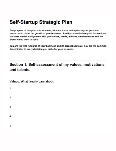 self startup strategic plan