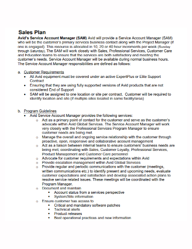 service account manager sales plan