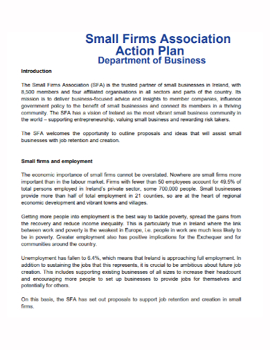small firm business action plan