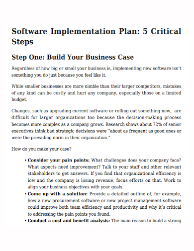 software implementation business plan